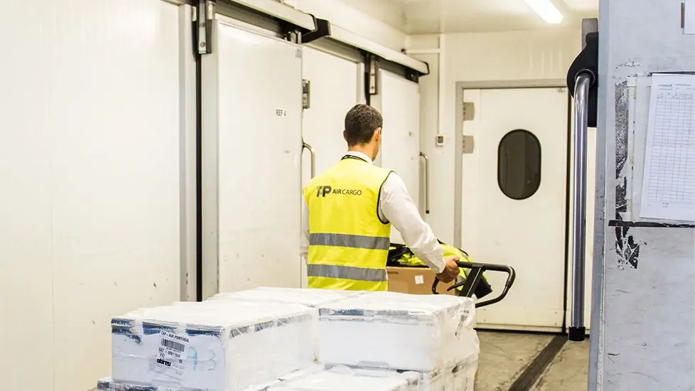 Um trabalhador da TAP Air Cargo com um colete refletor manobra, de costas, um porta-paletes manual com várias embalagens de carga envoltas em plástico para proteção.  Fá-lo numa zona de armazenamento de carga num aeroporto.